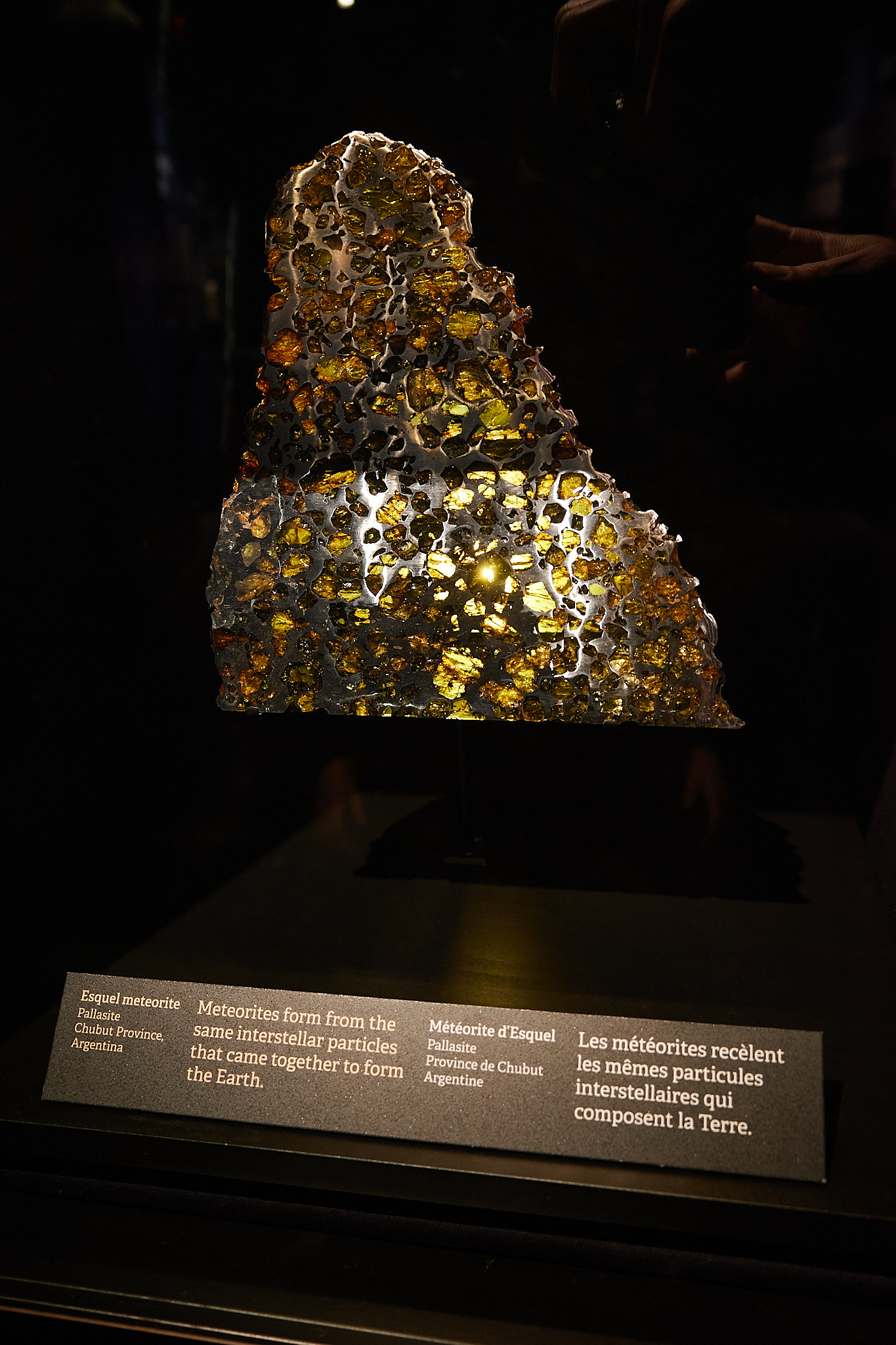 Ricoh GR III SDR JPEG of a crystal-filled meteorite displayed in a dark museum case.