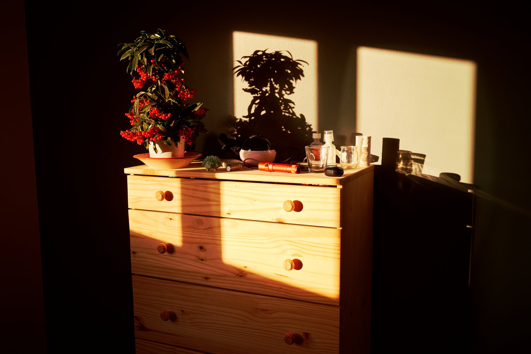 Fujifilm X100V ToneLatch Web HDR export of the same image.