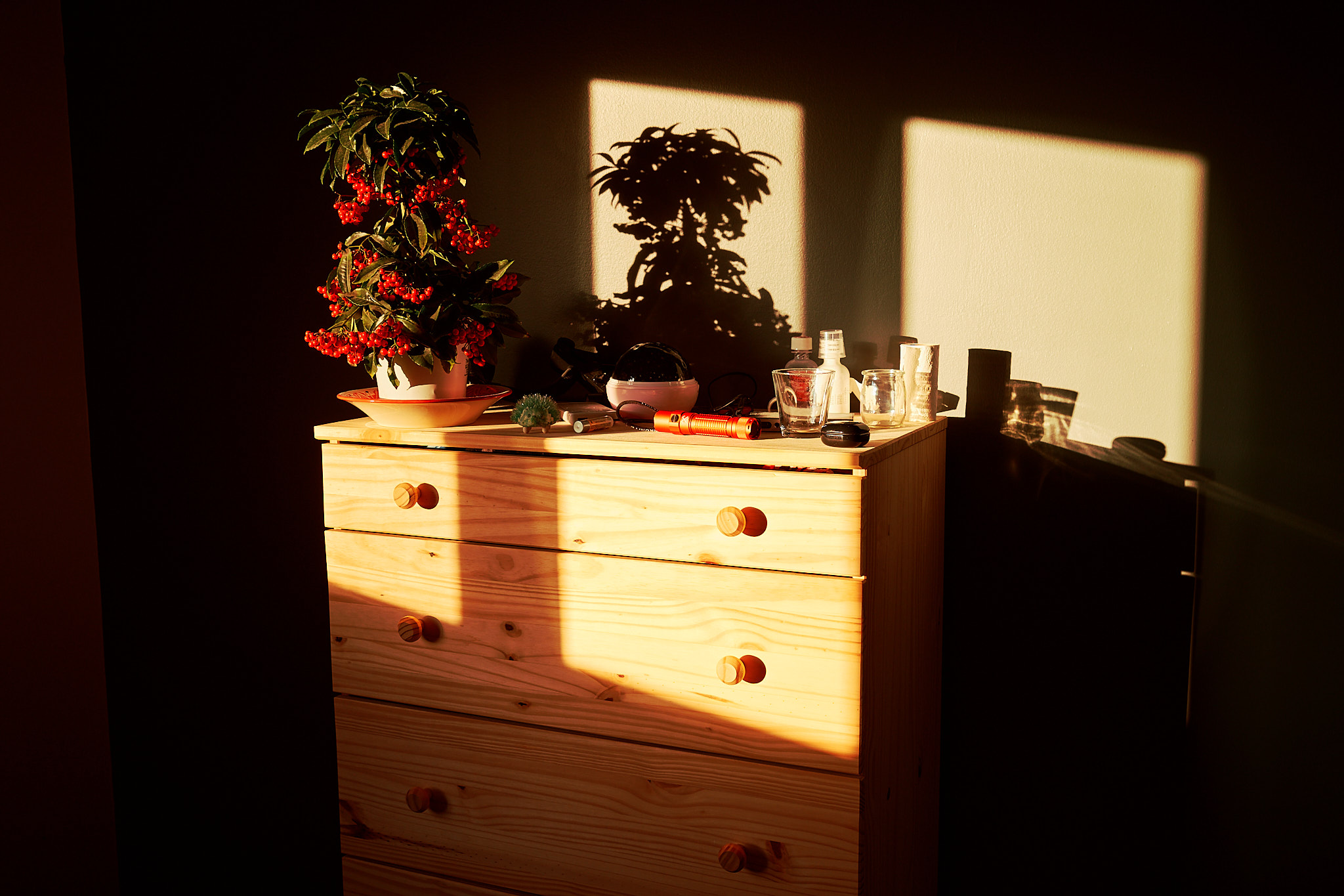 Fujifilm X100V SDR base image sample.